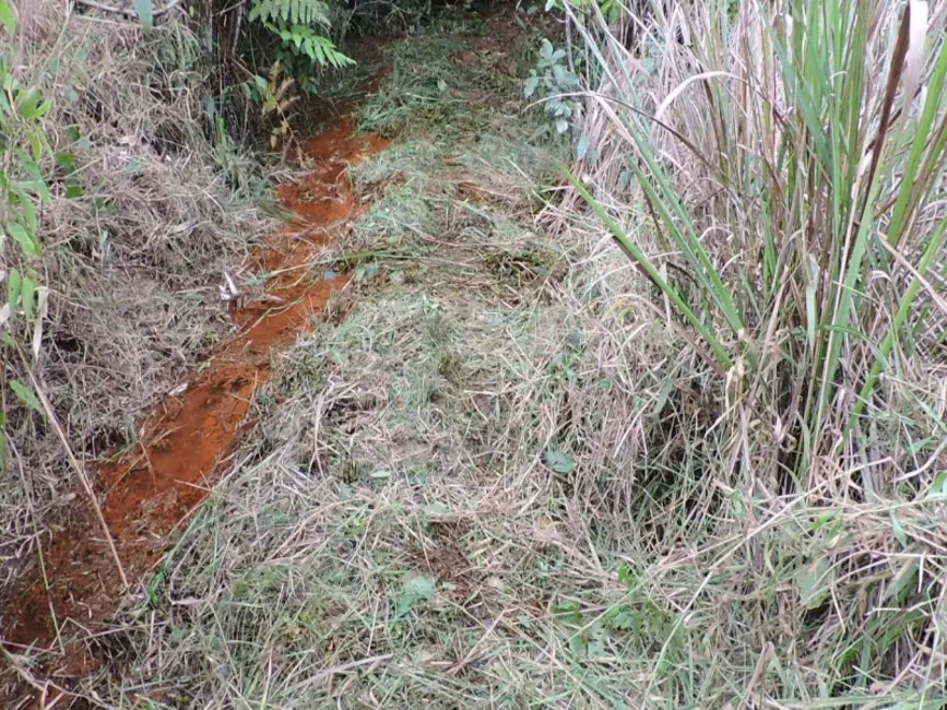 Foto 5 de Sítio / Rancho à venda em Desterro De Entre Rios - MG
