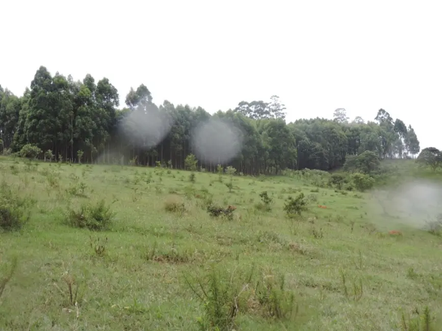 Foto 9 de Sítio / Rancho à venda em Desterro De Entre Rios - MG