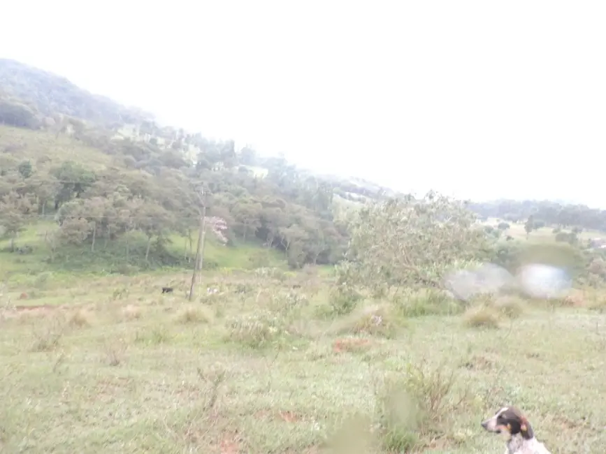 Foto 4 de Sítio / Rancho à venda em Desterro De Entre Rios - MG