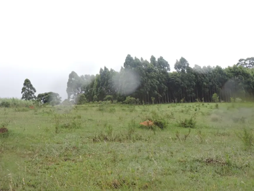 Foto 8 de Sítio / Rancho à venda em Desterro De Entre Rios - MG