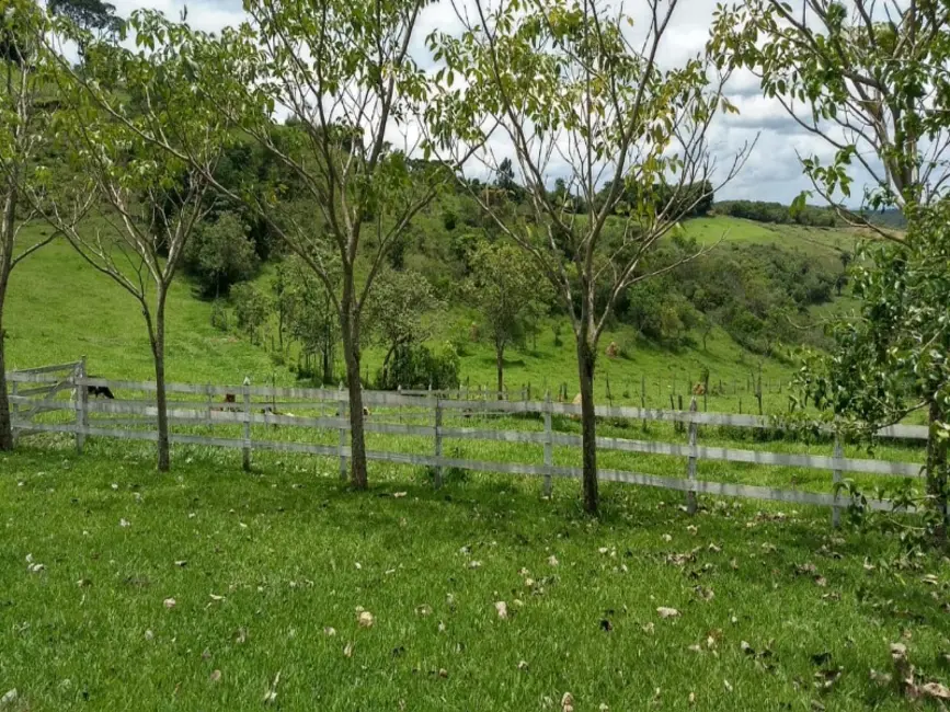 Foto 8 de Sítio / Rancho à venda em Sao Bras Do Suacui - MG