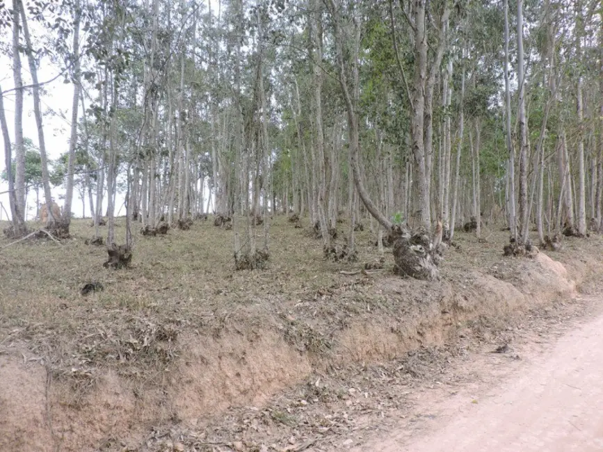 Foto 31 de Sítio / Rancho à venda em Jeceaba - MG