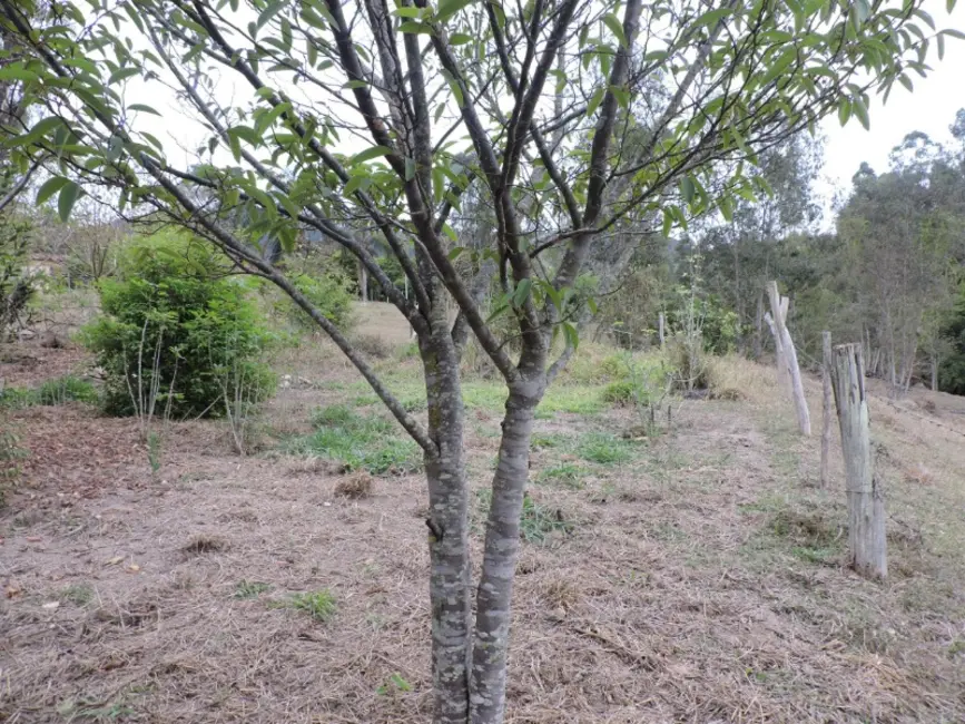 Foto 3 de Sítio / Rancho à venda em Jeceaba - MG