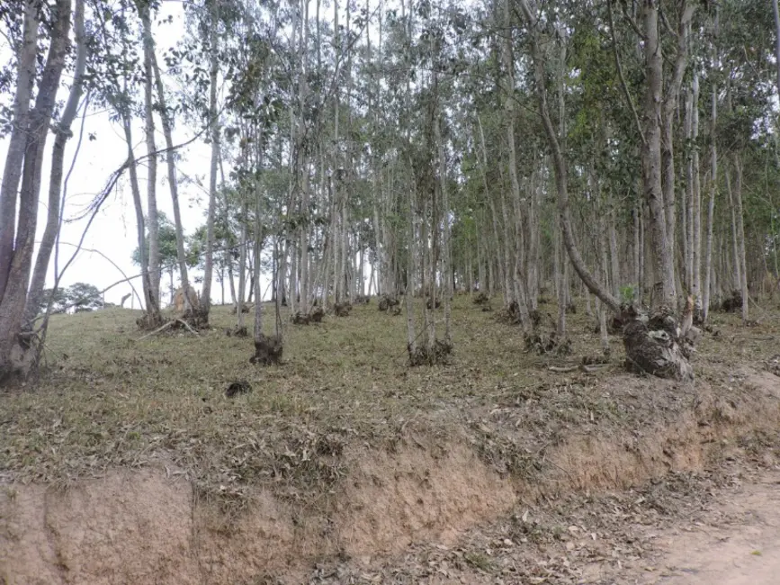 Foto 32 de Sítio / Rancho à venda em Jeceaba - MG