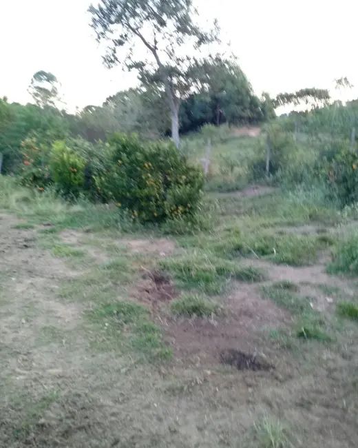 Foto 4 de Sítio / Rancho à venda em Desterro De Entre Rios - MG