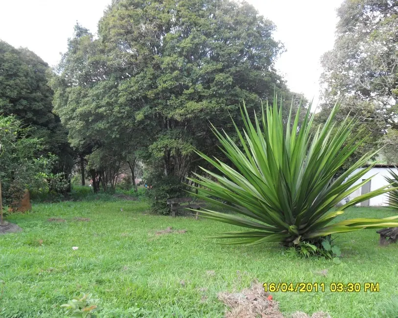 Foto 2 de Sítio / Rancho à venda em Congonhas - MG