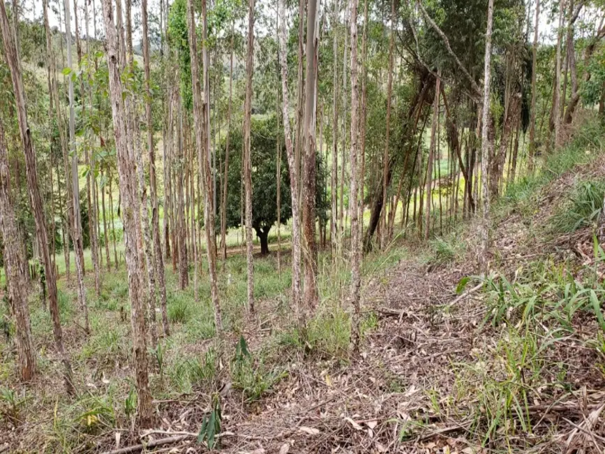 Sítio / Rancho à venda em Entre Rios De Minas - MG - imagem 5 Foto 5 de Sítio / Rancho à venda em Entre Rios De Minas - MG