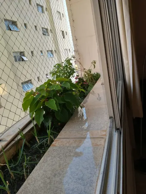 Apartamento com 3 quartos à venda, 105m2 em Parque Mandaqui, São Paulo - SP - imagem 1 Foto 1 de Apartamento com 3 quartos à venda, 105m2 em Parque Mandaqui, São Paulo - SP