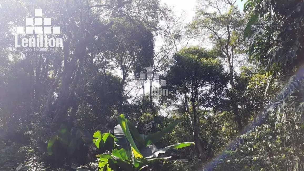 Foto 4 de Terreno / Lote à venda, 6000m2 em Parque Billings, Santo Andre - SP