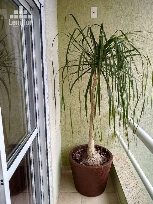 Foto 9 de Sobrado com 3 quartos à venda, 125m2 em Jardim Bela Vista, Santo Andre - SP