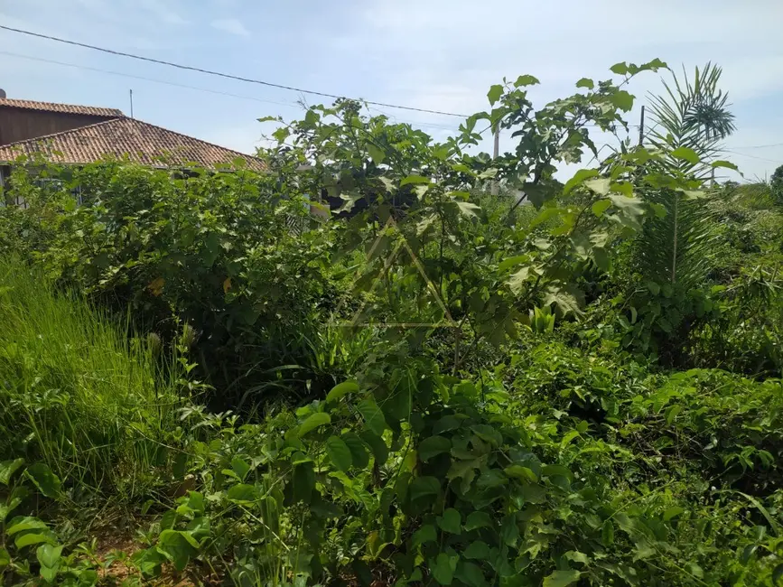 Foto 6 de Terreno / Lote à venda, 288m2 em Balneario Picarras - SC