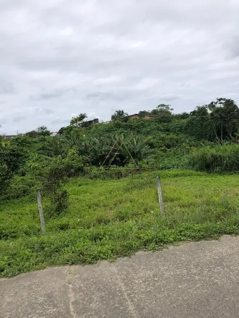 Foto 6 de Terreno / Lote à venda, 730m2 em Balneario Picarras - SC