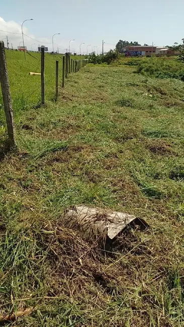 Foto 3 de Terreno / Lote à venda, 730m2 em Balneario Picarras - SC