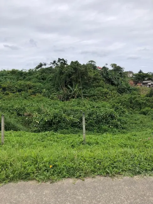 Foto 4 de Terreno / Lote à venda, 730m2 em Balneario Picarras - SC