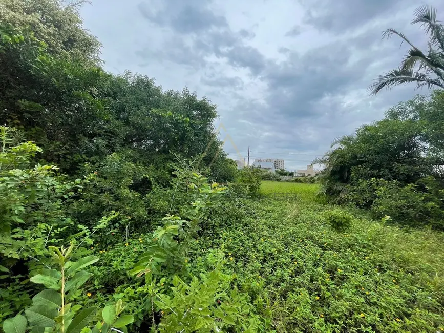 Terreno / Lote à venda, 553m2 em Balneario Picarras - SC - imagem 3 Foto 3 de Terreno / Lote à venda, 553m2 em Balneario Picarras - SC