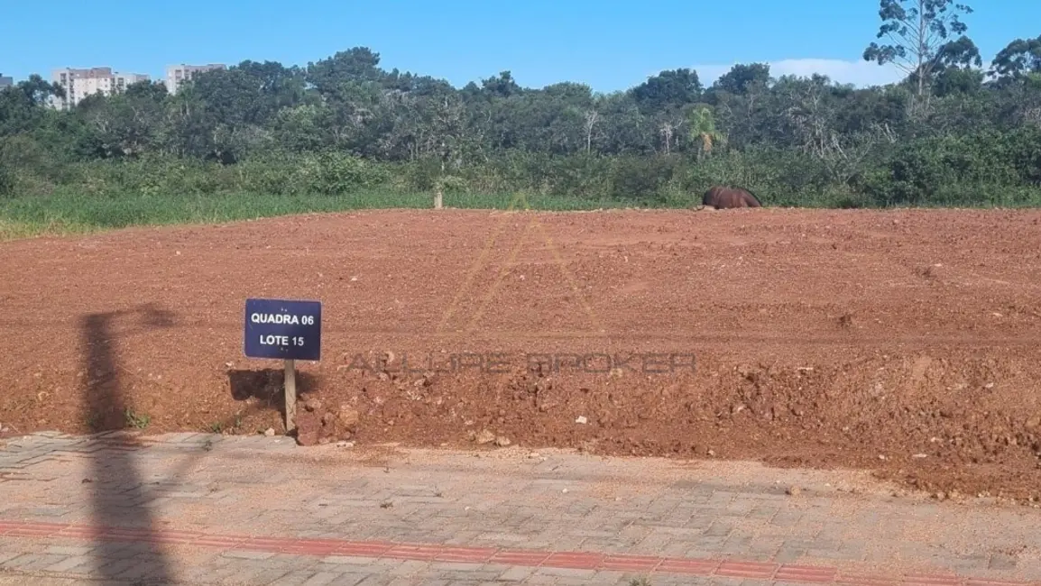Foto 9 de Terreno / Lote à venda, 360m2 em Balneario Picarras - SC