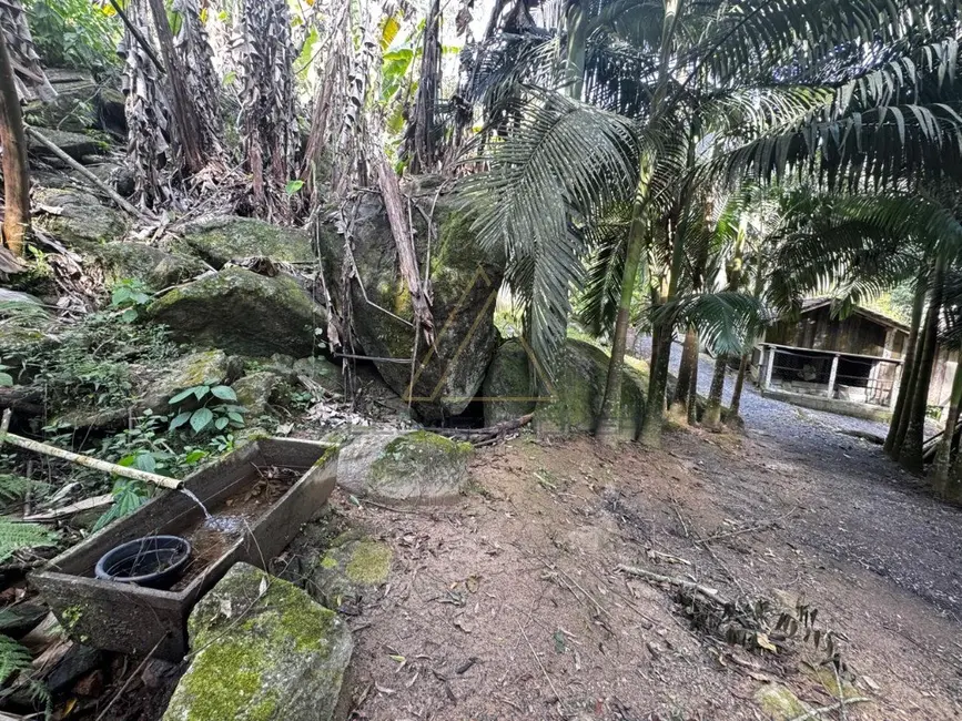 Foto 4 de Sítio / Rancho com 4 quartos à venda, 150m2 em Benedito Novo - SC