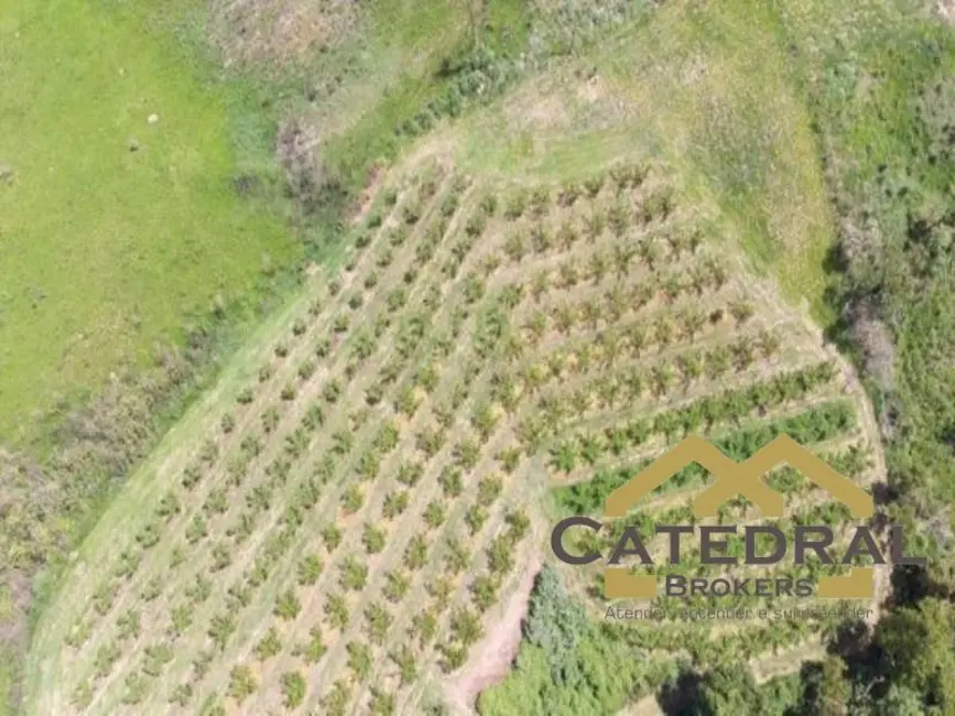 Foto 6 de Sítio / Rancho com 2 quartos à venda, 110m2 em Champirra, Jundiai - SP