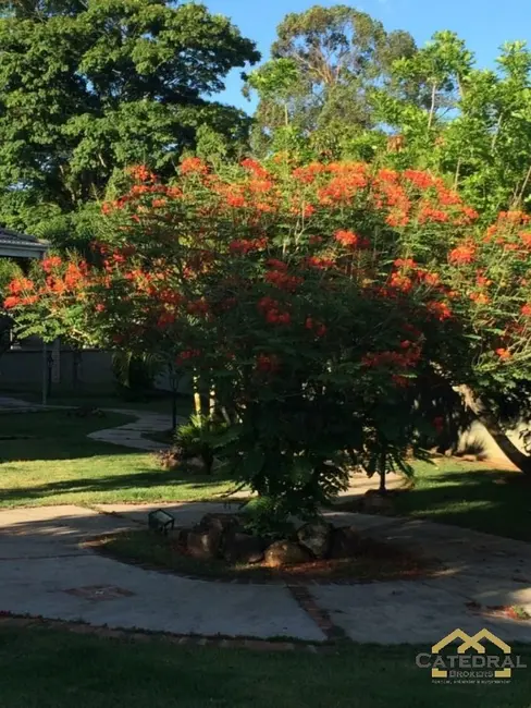 Foto 9 de Casa com 3 quartos à venda, 406m2 em Jarinu - SP