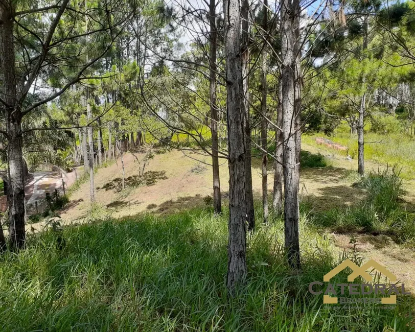 Foto 5 de Terreno / Lote à venda, 3200m2 em Jundiai - SP