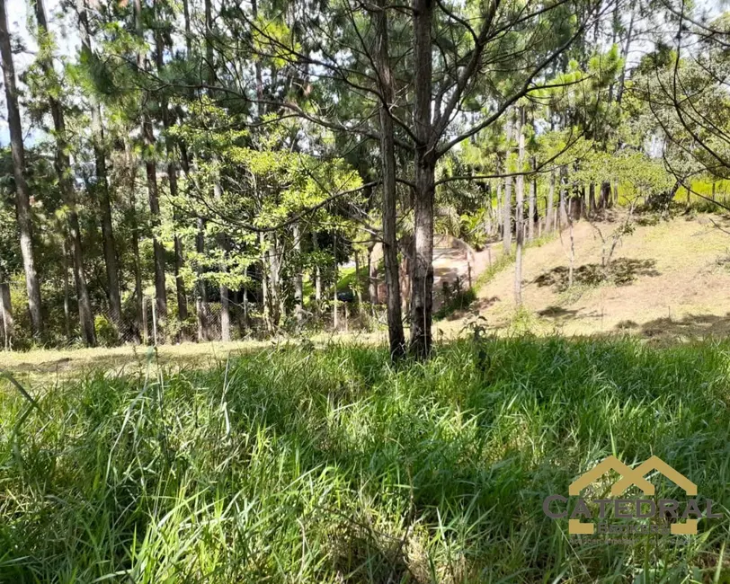 Foto 3 de Terreno / Lote à venda, 3200m2 em Jundiai - SP