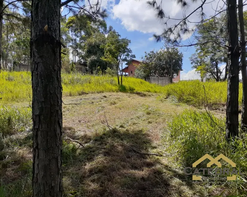 Foto 6 de Terreno / Lote à venda, 3200m2 em Jundiai - SP