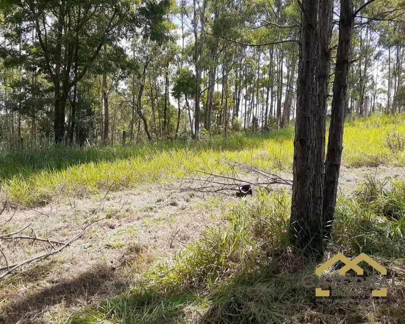 Foto 4 de Terreno / Lote à venda, 3200m2 em Jundiai - SP