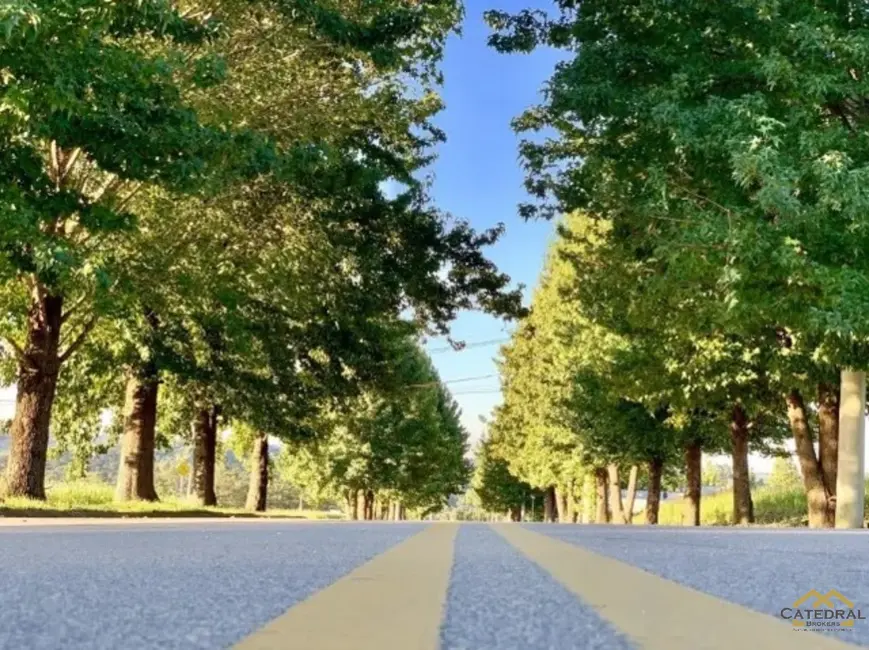 Foto 6 de Terreno / Lote à venda, 1011m2 em Caxambu, Jundiai - SP