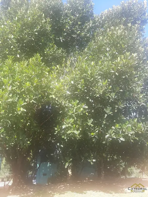 Foto 9 de Chácara com 2 quartos à venda, 173m2 em Rio Acima, Jundiai - SP