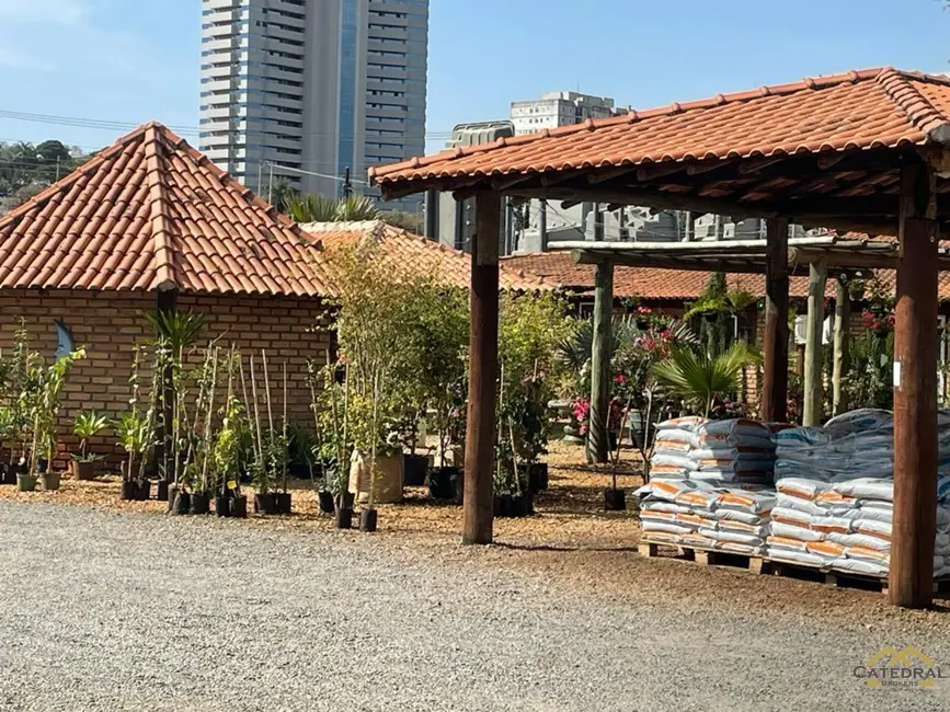 Foto 5 de Terreno / Lote à venda, 7652m2 em Bairro do Moisés, Jundiai - SP