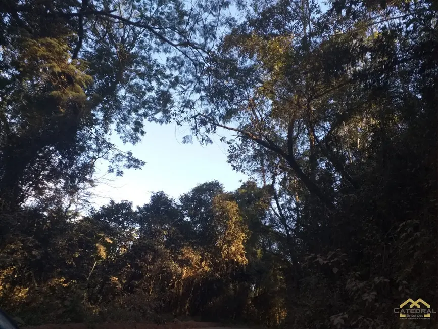 Terreno / Lote à venda, 1300m2 em Jarinu - SP - imagem 9 Foto 9 de Terreno / Lote à venda, 1300m2 em Jarinu - SP