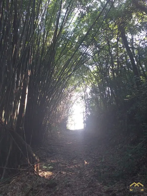 Terreno / Lote à venda, 1300m2 em Jarinu - SP - imagem 8 Foto 8 de Terreno / Lote à venda, 1300m2 em Jarinu - SP