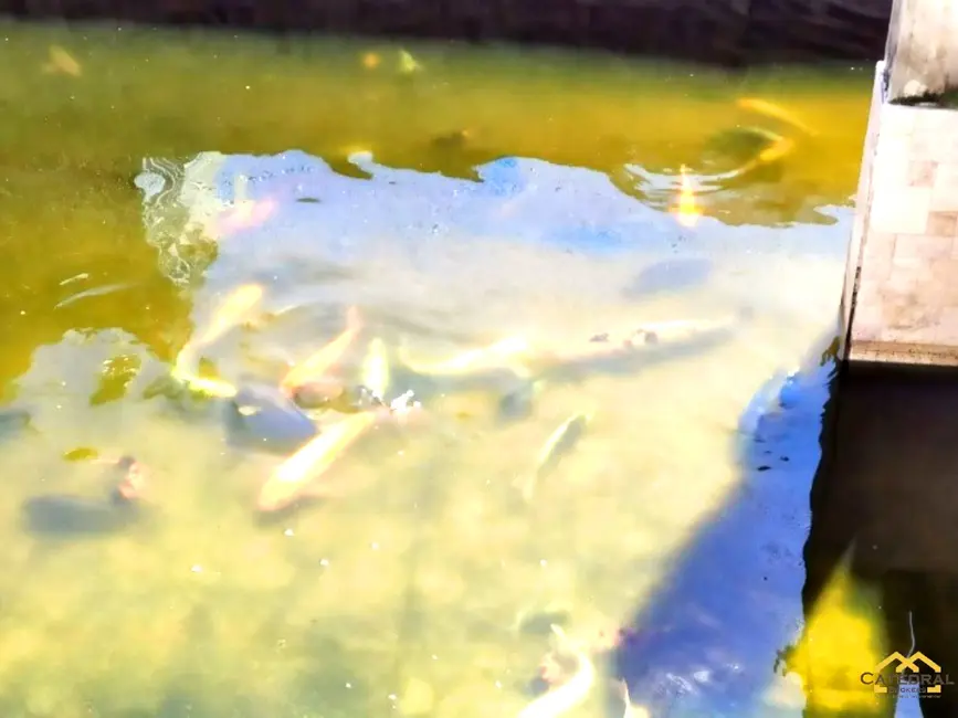 Foto 5 de Chácara com 4 quartos à venda, 190m2 em Jundiai - SP