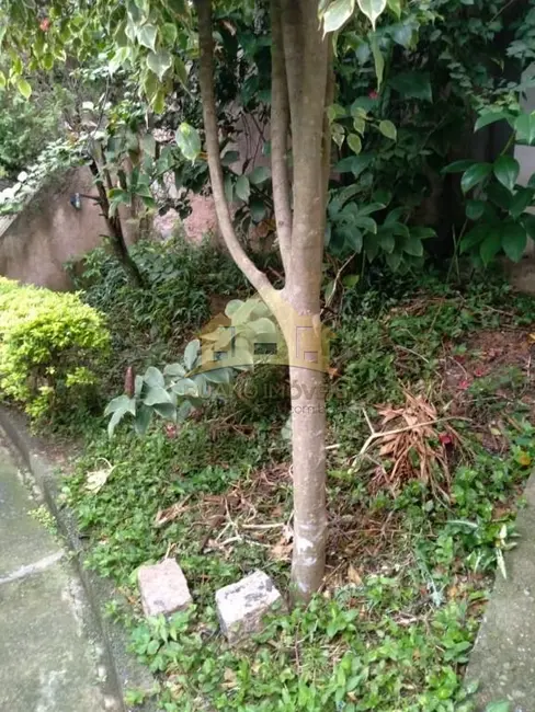 Foto 5 de Terreno / Lote à venda, 270m2 em Vila Formosa, São Paulo - SP