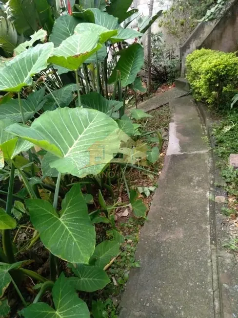 Foto 8 de Terreno / Lote à venda, 270m2 em Vila Formosa, São Paulo - SP