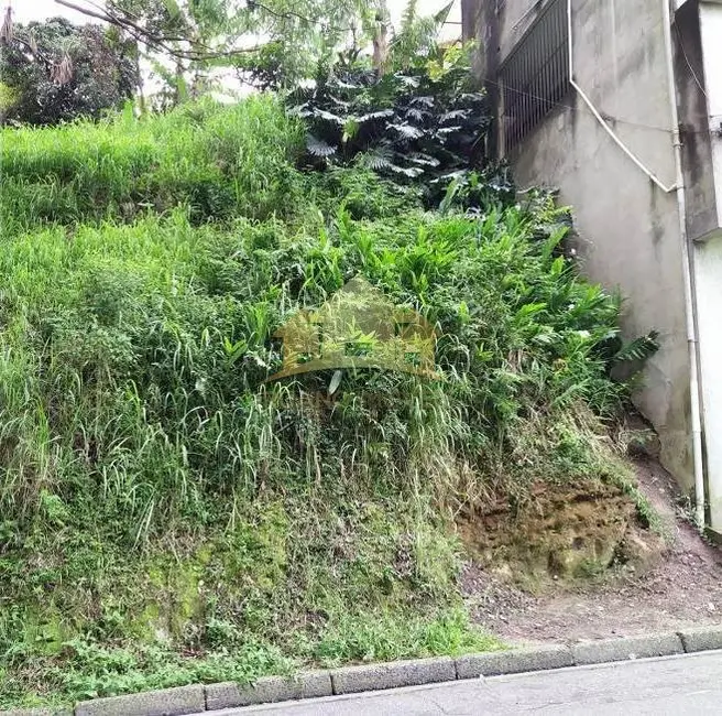 Terreno / Lote à venda, 266m2 em Jardim Nossa Senhora do Carmo, São Paulo - SP - imagem 5 Foto 5 de Terreno / Lote à venda, 266m2 em Jardim Nossa Senhora do Carmo, São Paulo - SP