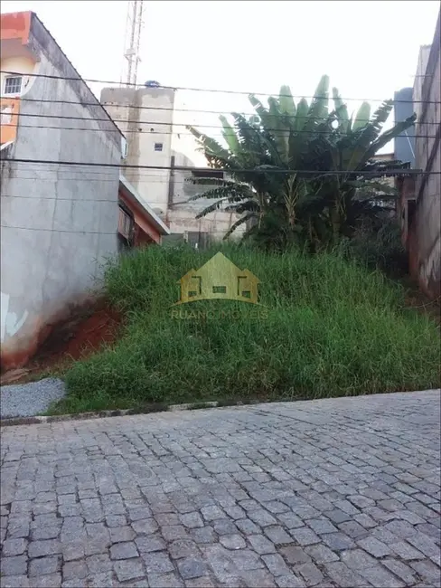 Terreno / Lote à venda, 245m2 em Itaquera, São Paulo - SP - imagem 5 Foto 5 de Terreno / Lote à venda, 245m2 em Itaquera, São Paulo - SP