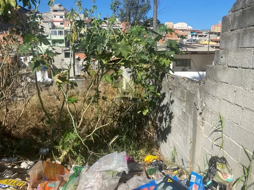 Terreno / Lote à venda, 203m2 em Itaquera, São Paulo - SP - imagem 6 Foto 6 de Terreno / Lote à venda, 203m2 em Itaquera, São Paulo - SP