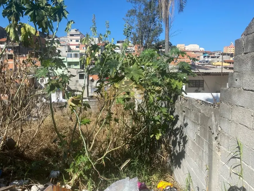 Terreno / Lote à venda, 203m2 em Itaquera, São Paulo - SP - imagem 3 Foto 3 de Terreno / Lote à venda, 203m2 em Itaquera, São Paulo - SP