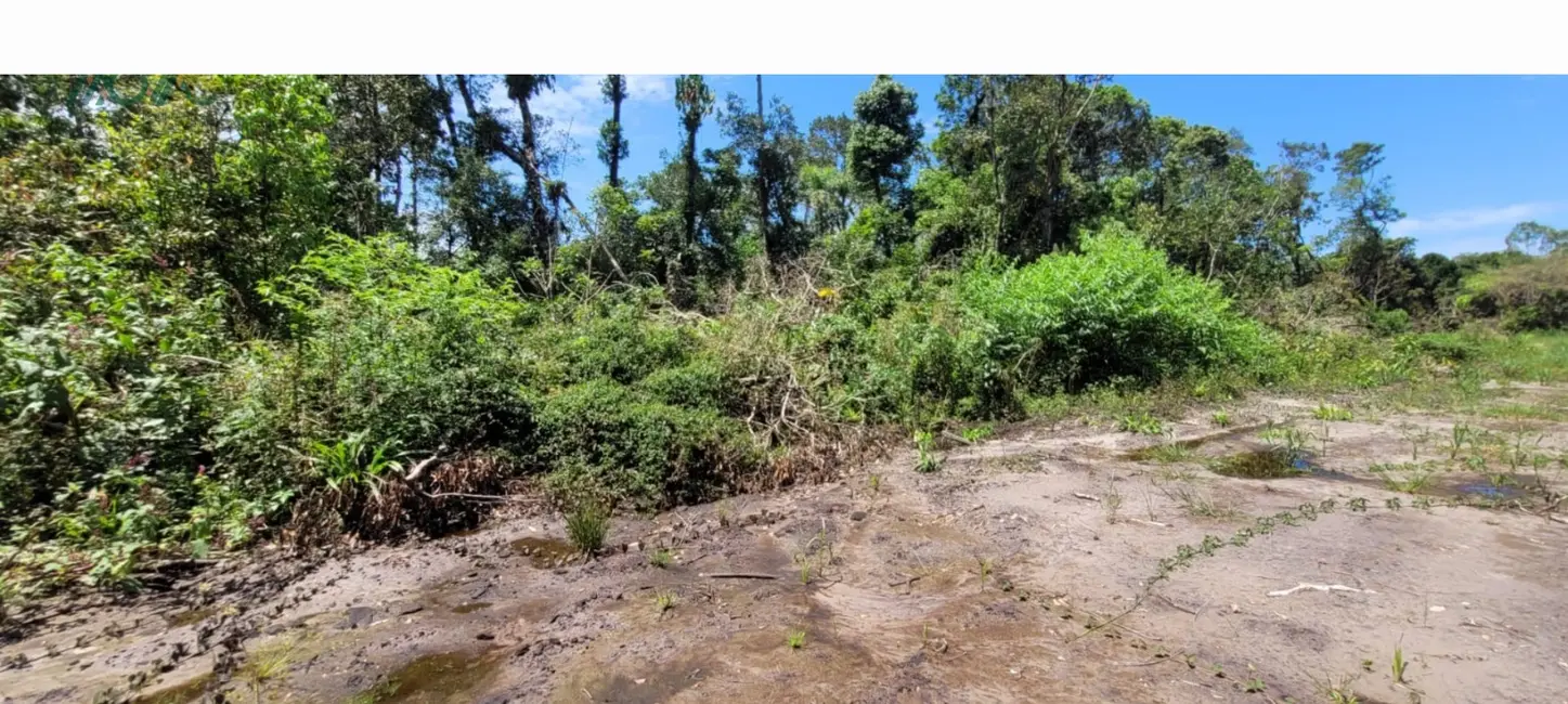 Foto 4 de Terreno / Lote à venda, 768m2 em Itapoa - SC