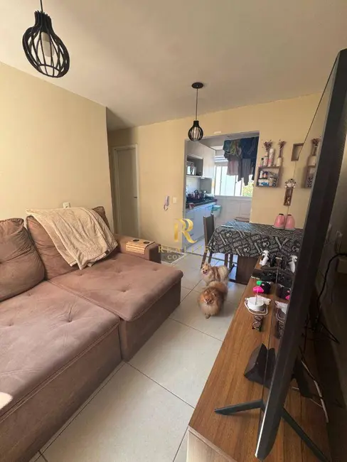 Apartamento com 2 quartos à venda, 38m2 em São Paulo - SP - imagem 2 Foto 2 de Apartamento com 2 quartos à venda, 38m2 em São Paulo - SP