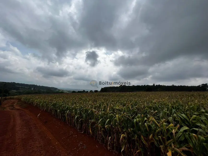 Foto 4 de Sítio / Rancho com 4 quartos à venda, 50000m2 em Laranjal Paulista - SP