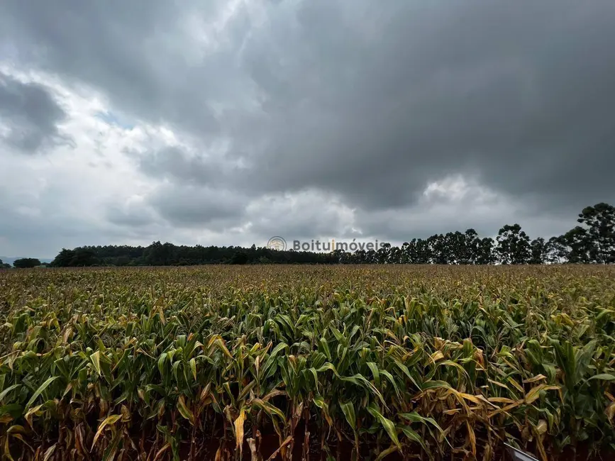 Foto 5 de Sítio / Rancho com 4 quartos à venda, 50000m2 em Laranjal Paulista - SP