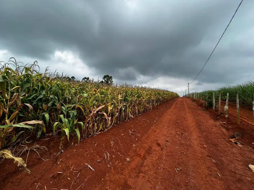 Foto 3 de Sítio / Rancho com 4 quartos à venda, 50000m2 em Laranjal Paulista - SP