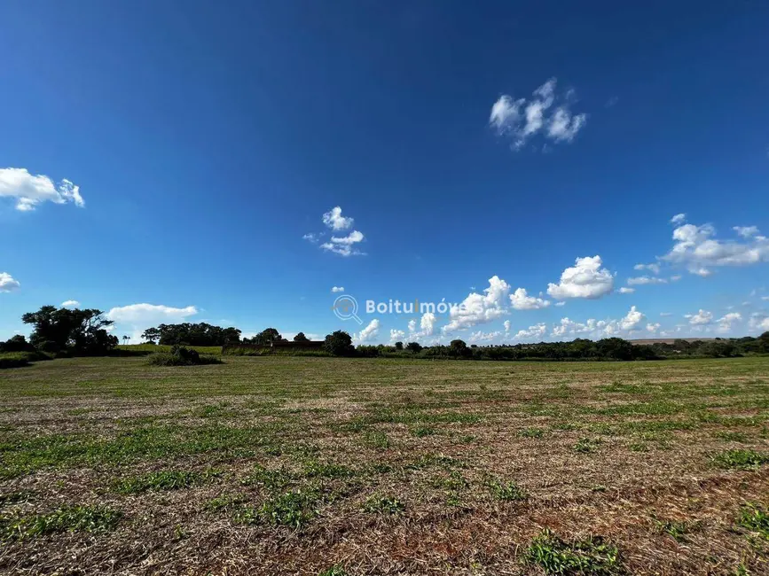 Foto 7 de Sala Comercial à venda, 147000m2 em Quadra - SP