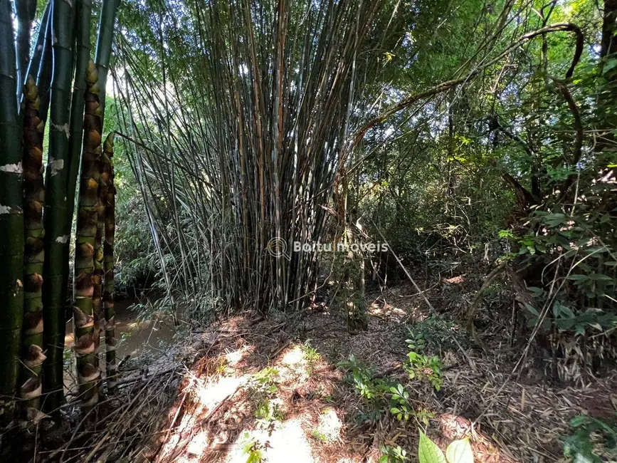 Foto 9 de Chácara com 3 quartos à venda, 34000m2 em Cesario Lange - SP