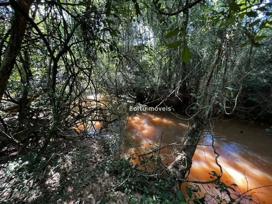 Foto 4 de Chácara com 3 quartos à venda, 34000m2 em Cesario Lange - SP