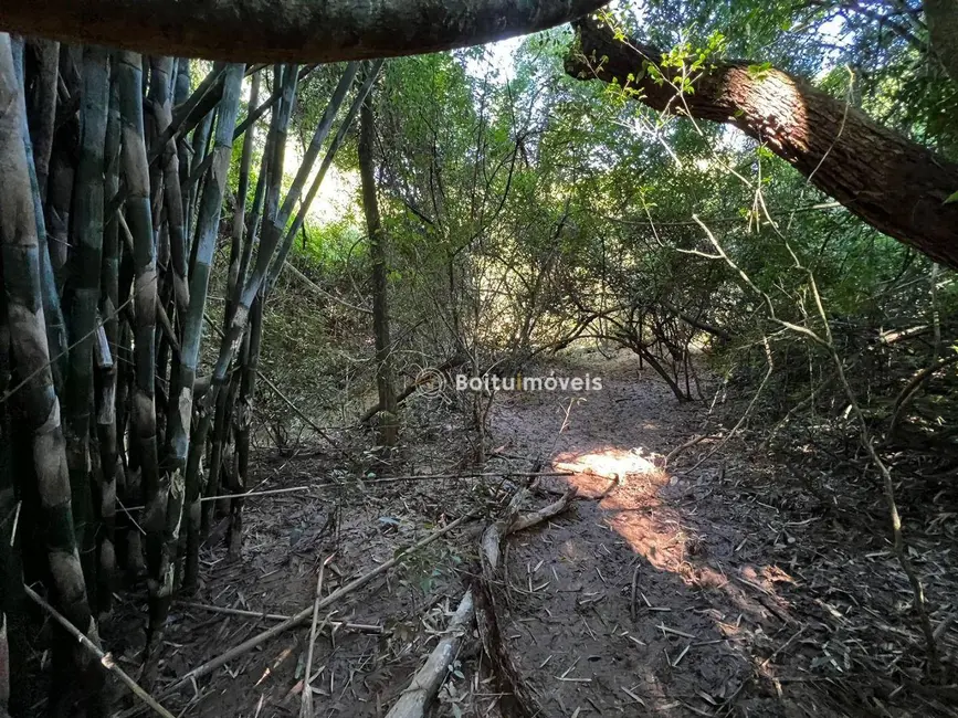 Foto 6 de Chácara com 3 quartos à venda, 34000m2 em Cesario Lange - SP