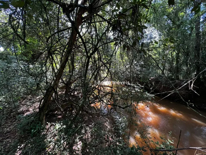 Foto 5 de Chácara com 3 quartos à venda, 34000m2 em Cesario Lange - SP