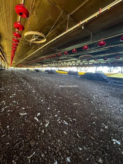 Chácara com 4 quartos à venda, 158000m2 em Porangaba - SP - imagem 3 Foto 3 de Chácara com 4 quartos à venda, 158000m2 em Porangaba - SP